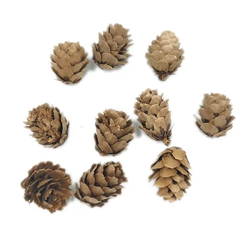 10pcs Marrom Natural Pinecones para o Natal Potpourri Tigela de Enchimento de Artesanato (cerca de 3cm)