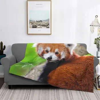 Panda vermelho Cobertor de Lã Primavera, Outono Animal Bonito Multi-função Ultra-Macio Jogar um Cobertor para Cama Escritório de Pelúcia Fina Colcha